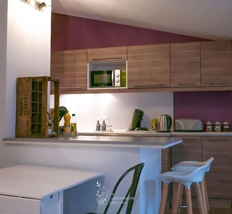 L'Aparte - Appartement De Charme A Albi Apartman