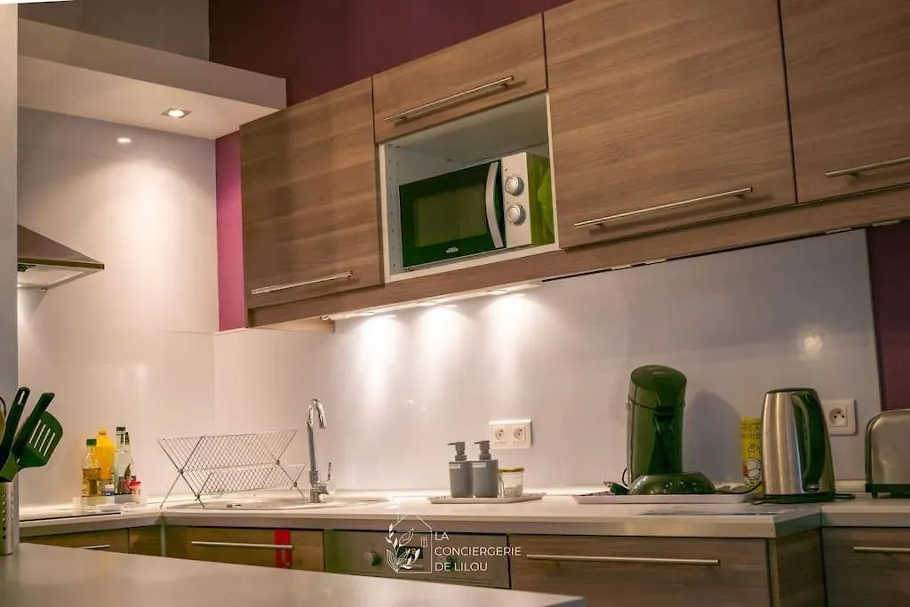 Apartman L'Aparte - Appartement De Charme A Albi